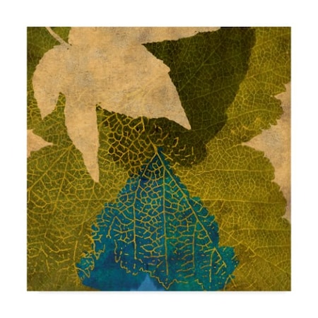 Louise Montillio 'Teal Leaf I' Canvas Art,18x18